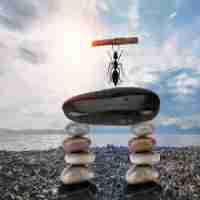 关‍键‍词​在‌线​挖﻿掘﻿工‌具‍